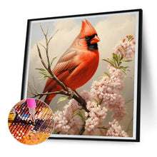Load image into Gallery viewer, Diamond Painting - Full Round - cardinal (30*30CM)