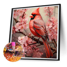Load image into Gallery viewer, Diamond Painting - Full Round - cardinal (30*30CM)