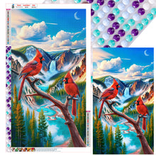 Load image into Gallery viewer, Diamond Painting - Full Round - cardinal (40*70CM)