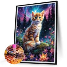 Load image into Gallery viewer, Diamond Painting - Full Round - Cat under the stars (30*40CM)