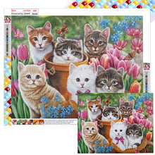 Load image into Gallery viewer, Diamond Painting - Full Square - litter of kittens (50*40CM)