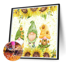 Load image into Gallery viewer, Diamond Painting - Full Round - Kasuga Goblin (30*30CM)