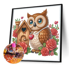 Load image into Gallery viewer, Diamond Painting - Partial Special Shaped - rose owl house (30*30CM)