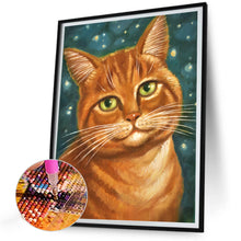 Load image into Gallery viewer, Diamond Painting - Full Round - fat cat (30*40CM)