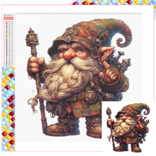 Load image into Gallery viewer, Diamond Painting - Full Square - goblin (30*30CM)