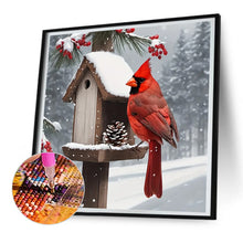 Load image into Gallery viewer, Diamond Painting - Full Round - cardinal (30*30CM)