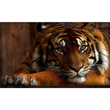 Load image into Gallery viewer, Diamond Painting - Full Round - tiger (50*30CM)
