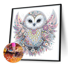 Load image into Gallery viewer, Diamond Painting - Partial Special Shaped - bald owl (30*30CM)