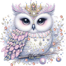Load image into Gallery viewer, Diamond Painting - Partial Special Shaped - bald owl (30*30CM)