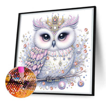 Load image into Gallery viewer, Diamond Painting - Partial Special Shaped - bald owl (30*30CM)