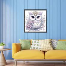 Load image into Gallery viewer, Diamond Painting - Partial Special Shaped - bald owl (30*30CM)