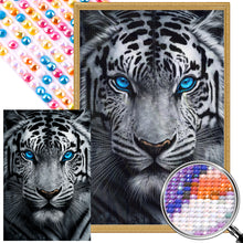 Load image into Gallery viewer, AB Diamond Painting - Full Round - White tiger with blue eyes (40*60CM)