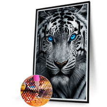 Load image into Gallery viewer, AB Diamond Painting - Full Round - White tiger with blue eyes (40*60CM)