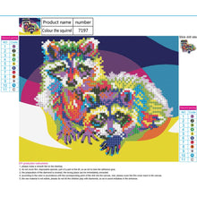 Load image into Gallery viewer, Diamond Painting - Full Round - Color Twin Raccoons (30*25CM)