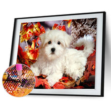 Load image into Gallery viewer, Dog Animal 28*44CM(Canvas) Round Drill Diamond Painting