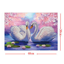 Load image into Gallery viewer, Two White Swans 40*30CM(Canvas) Round Drill Diamond Painting