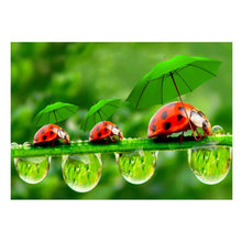Load image into Gallery viewer, Green Leaf Ladybug 40*30CM(Canvas) Round Drill Diamond Painting