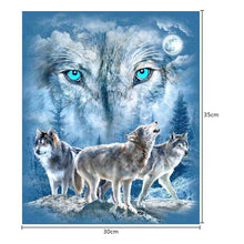 Load image into Gallery viewer, Wolf 30*35CM(Canvas) Round Drill Diamond Painting