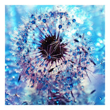 Load image into Gallery viewer, Dandelion 30x30cm(canvas) full round drill diamond painting