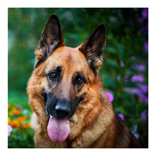 Load image into Gallery viewer, Dog 30*30CM(Canvas) Square Drill Diamond Painting