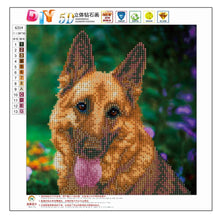 Load image into Gallery viewer, Dog 30*30CM(Canvas) Square Drill Diamond Painting