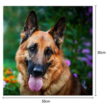 Load image into Gallery viewer, Dog 30*30CM(Canvas) Square Drill Diamond Painting