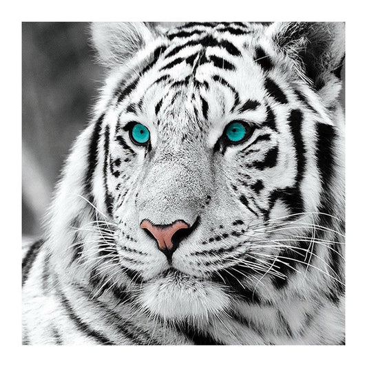 Tiger Head 30*30CM(Canvas) Full Round Drill Diamond Painting