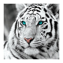 Load image into Gallery viewer, Tiger Head 30*30CM(Canvas) Full Round Drill Diamond Painting
