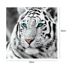 Load image into Gallery viewer, Tiger Head 30*30CM(Canvas) Full Round Drill Diamond Painting