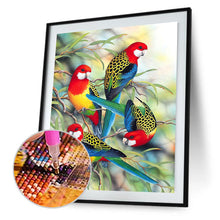Load image into Gallery viewer, Bird 30*38CM(Canvas) Partial Round Drill Diamond Painting