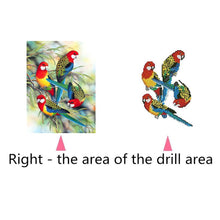 Load image into Gallery viewer, Bird 30*38CM(Canvas) Partial Round Drill Diamond Painting