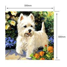 Load image into Gallery viewer, White Puppy 30*30CM(Canvas)-Full Round Drill Diamond Painting