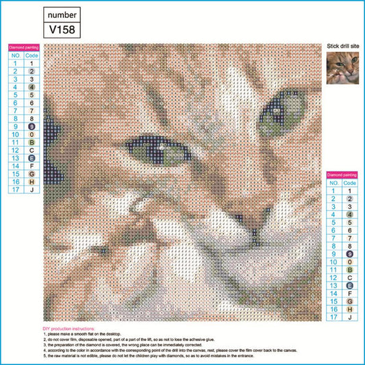Cat 30*30CM(Canvas) Full Round Drill Diamond Painting