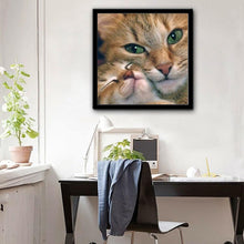 Load image into Gallery viewer, Cat 30*30CM(Canvas) Full Round Drill Diamond Painting