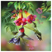 Load image into Gallery viewer, Birds Animal 30*30CM(Canvas) Full Round Drill Diamond Painting