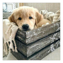 Load image into Gallery viewer, Dog 30*30CM(Canvas) Full Round Drill Diamond Painting