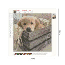 Load image into Gallery viewer, Dog 30*30CM(Canvas) Full Round Drill Diamond Painting