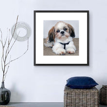 Load image into Gallery viewer, Sad Dog 30*30CM(Canvas) Full Round Drill Diamond Painting