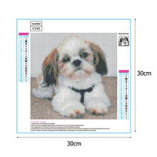 Load image into Gallery viewer, Sad Dog 30*30CM(Canvas) Full Round Drill Diamond Painting