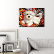 Load image into Gallery viewer, White Dog 40*30CM(Canvas) Full Round Drill Diamond Painting