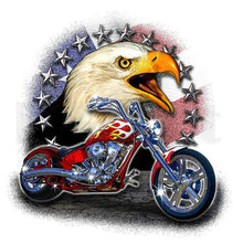 Load image into Gallery viewer, Motorcycle Eagle 30*30CM(Canvas) Special Shaped Drill Diamond Painting