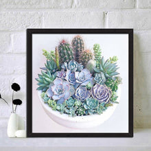 Load image into Gallery viewer, Succulent Plants 30*30CM(Canvas) Full Round Drill Diamond Painting