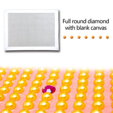 Load image into Gallery viewer, Blank Embroidery Full Round Drill Canvas DIY Diamond Painting Accessories