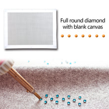 Load image into Gallery viewer, Blank Embroidery Full Round Drill Canvas DIY Diamond Painting Accessories