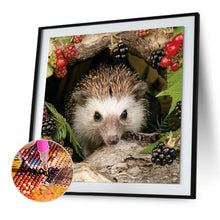 Load image into Gallery viewer, Animal Hedgehog 30*30CM(Canvas) Full Round Drill Diamond Painting