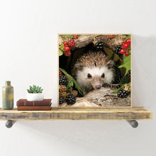Load image into Gallery viewer, Animal Hedgehog 30*30CM(Canvas) Full Round Drill Diamond Painting