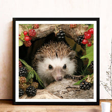 Load image into Gallery viewer, Animal Hedgehog 30*30CM(Canvas) Full Round Drill Diamond Painting