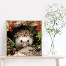 Load image into Gallery viewer, Animal Hedgehog 30*30CM(Canvas) Full Round Drill Diamond Painting