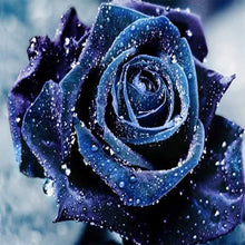 Load image into Gallery viewer, Purple Rose 30*30CM(Canvas) Full Round Drill Diamond Painting