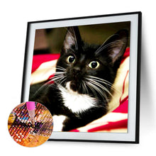 Load image into Gallery viewer, Long Whisker Black Cat 30*30CM(Canvas) Full Round Drill Diamond Painting